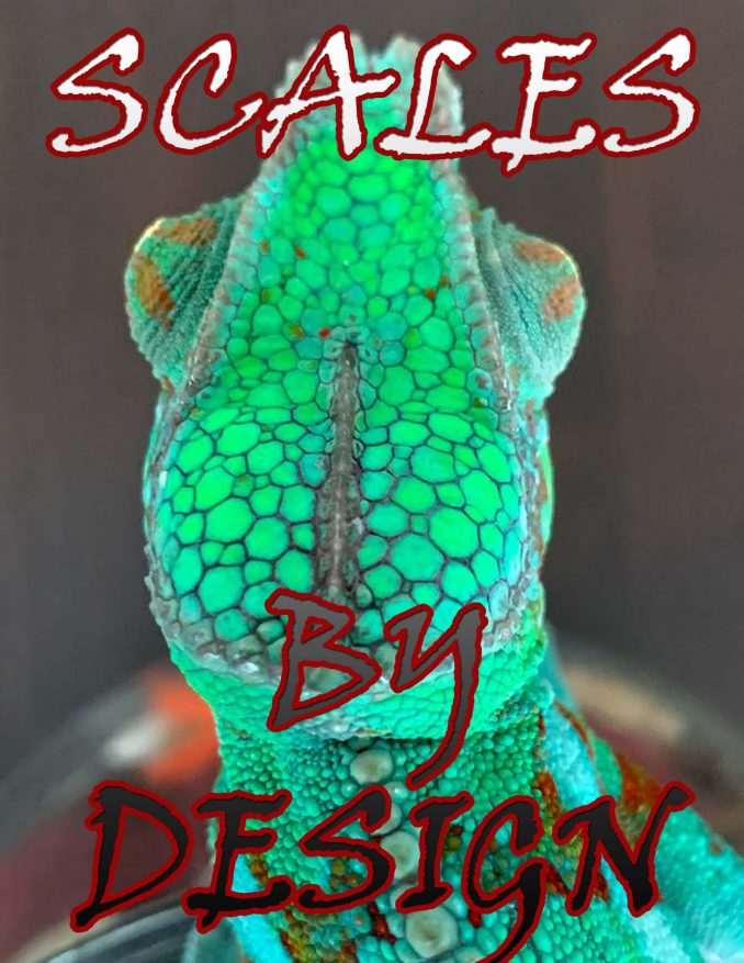 Scales by Design Champion Bloodline Designers